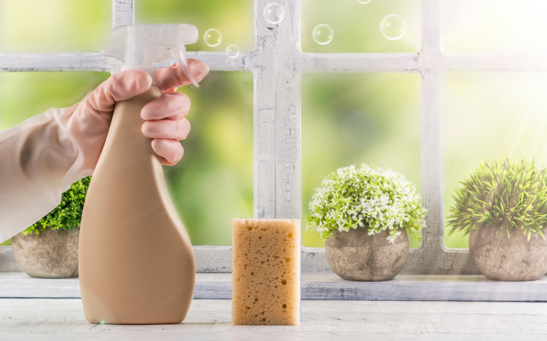 The Natural Clean: How Indoor Plants Help Homes Stay Fresh and Pristine