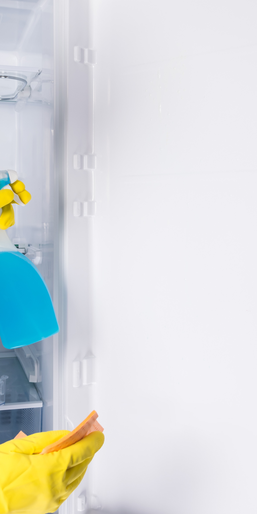 Pacifica vacation rental Cleaning Services Pacifica vacation rental Cleaning Services