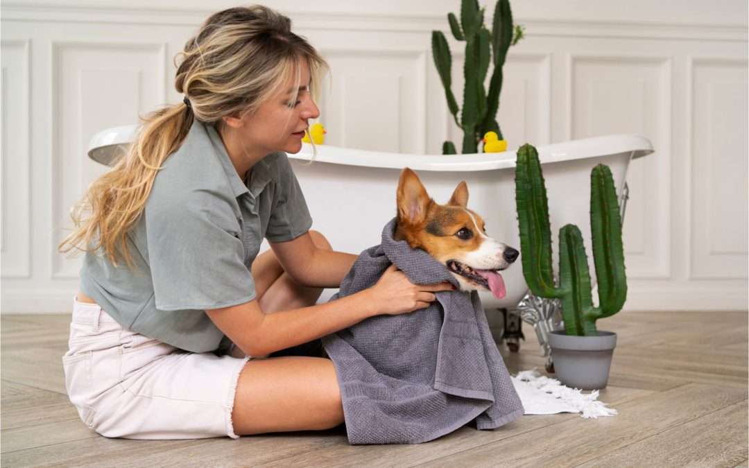 Why Pet Owners Should Consider a House Cleaning Service in Redwood City
