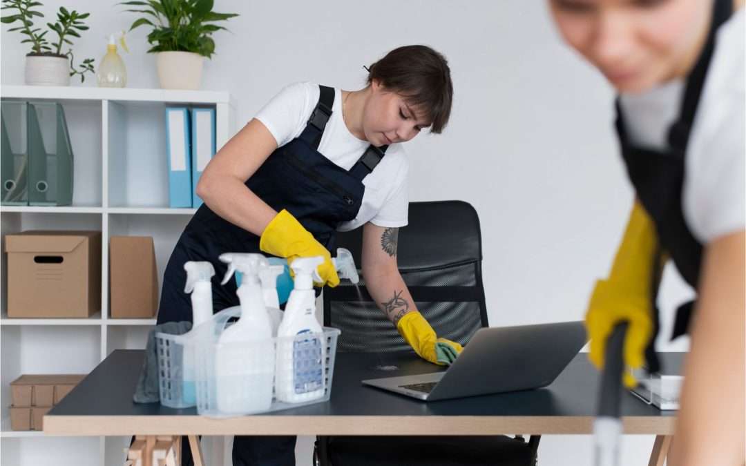 Eco-Friendly House Cleaning Services in Los Altos Hills: Why Green Cleaning Matters